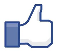 facebook,zuckerberg,pétition,expression démocratique,fait divers,langue,robland barthes,affect,foule,communication,individualisme